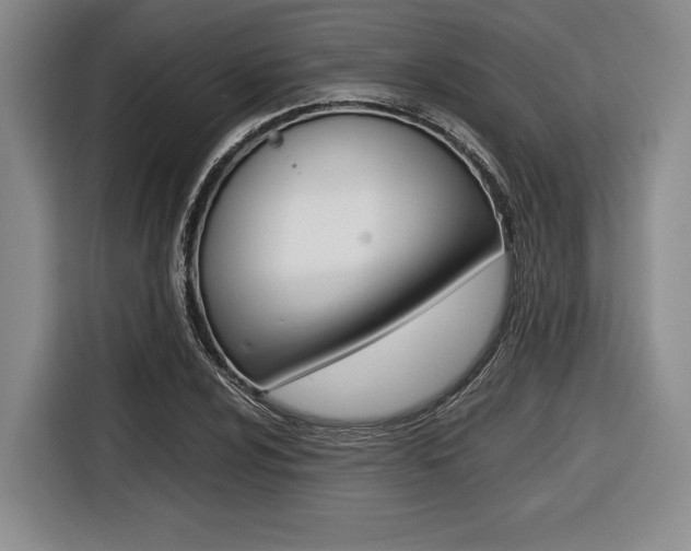 X0000116421024200912081155