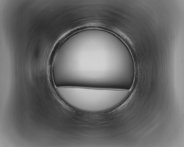 X0000116421029200912081155