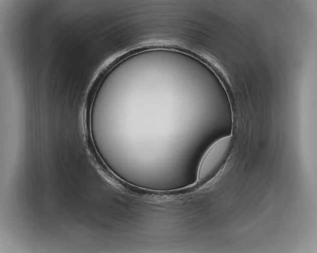 X0000116421030200912081155