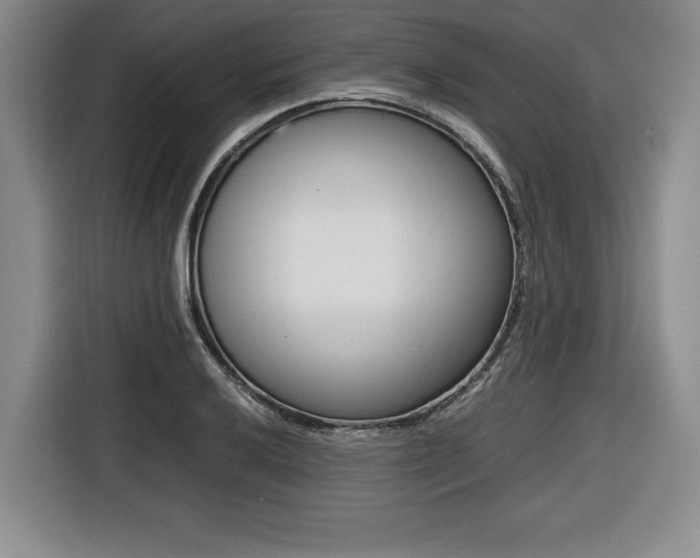 X0000116421032200912081155