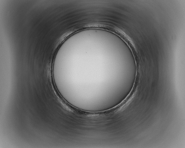 X0000116421033200912081155
