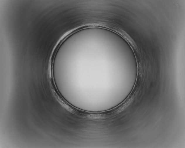 X0000116421036200912081155