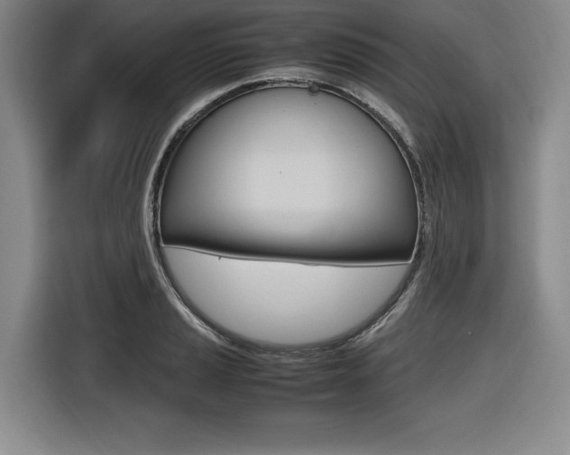 X0000116421037200912081155