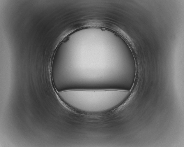 X0000116421041200912081156