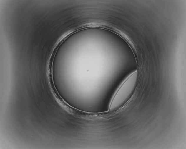 X0000116421042200912081156
