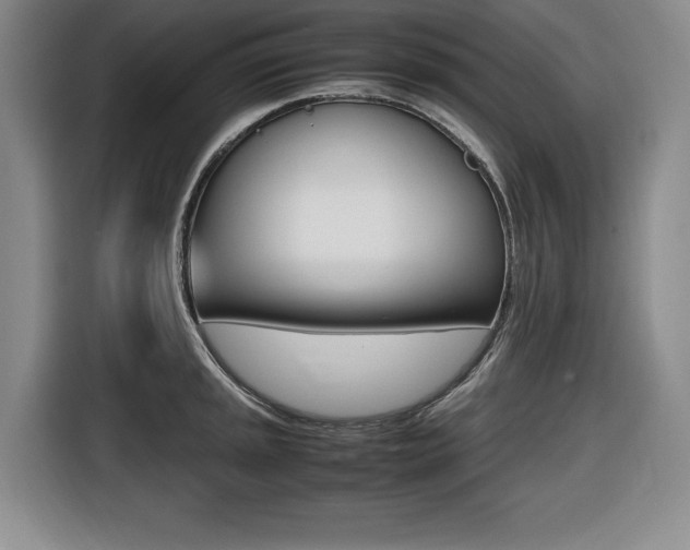 X0000116421045200912081156