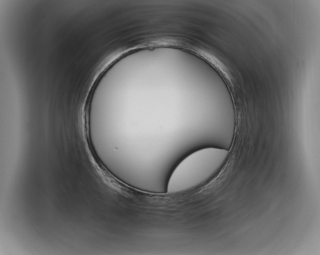X0000116421047200912081156