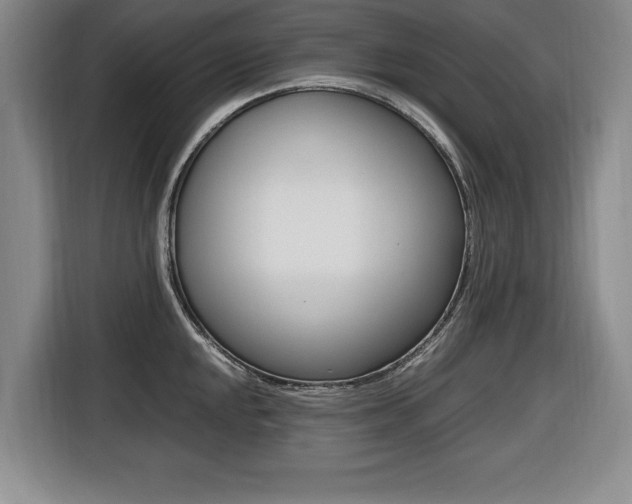 X0000116421048200912081156