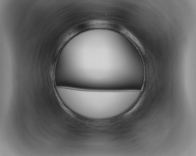X0000116421049200912081156