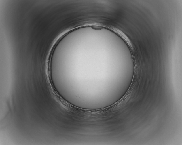 X0000116421051200912081156