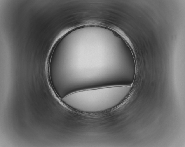 X0000116421053200912081156