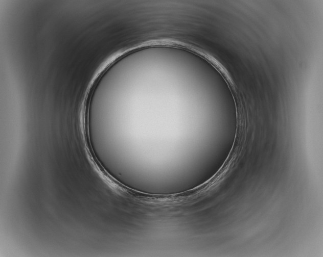 X0000116421054200912081156