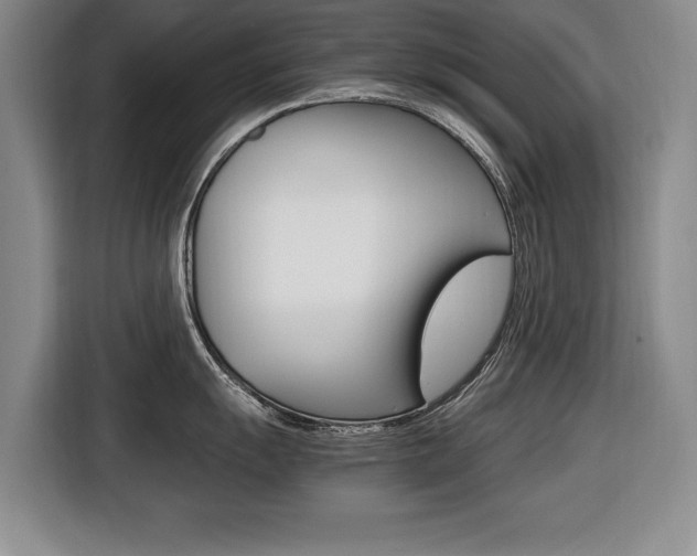 X0000116421055200912081156