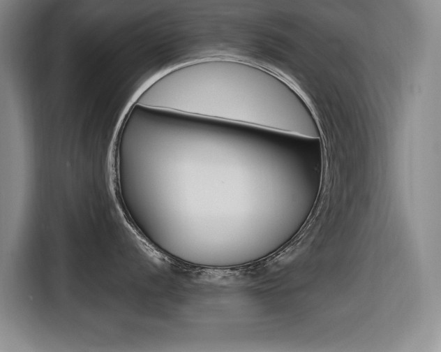 X0000116421056200912081156