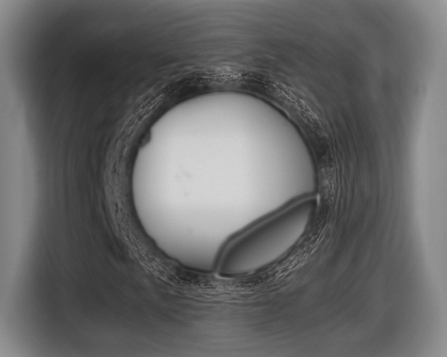 X0000116421057200912081155