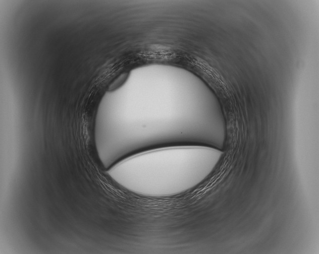 X0000116421058200912081155