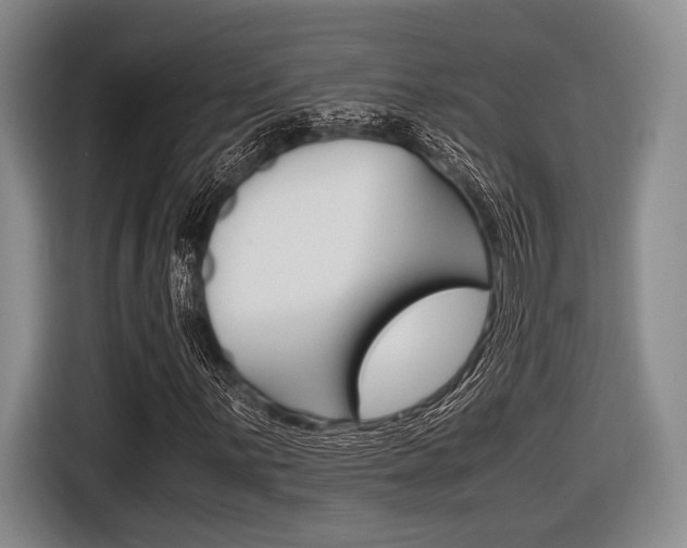 X0000116421059200912081155