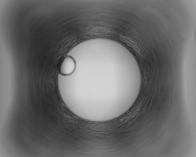 X0000116421060200912081155