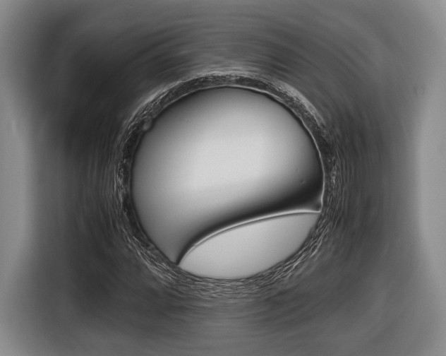 X0000116421064200912081155