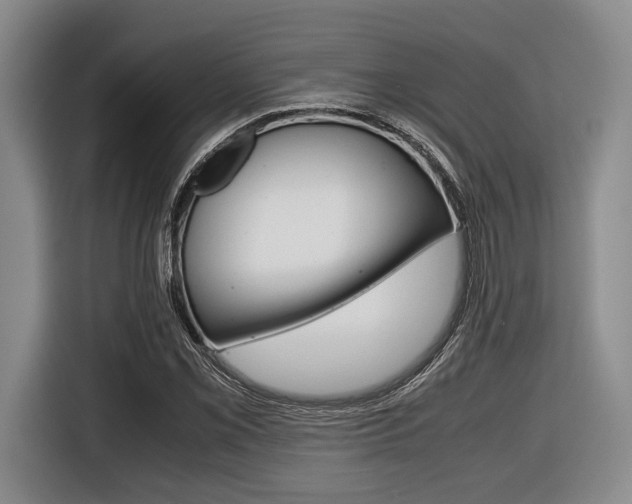 X0000116421069200912081155