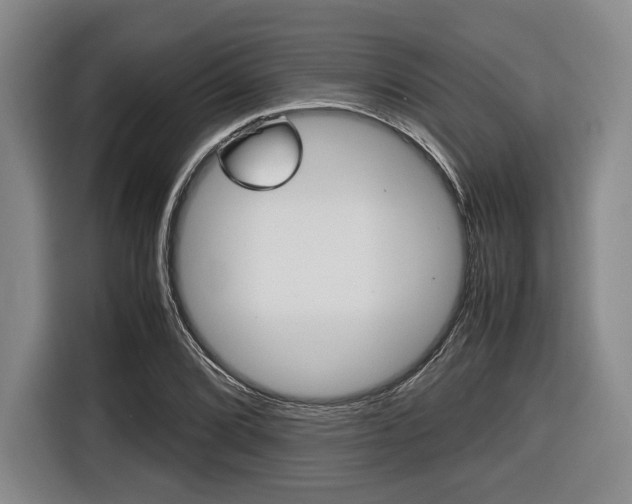 X0000116421072200912081155