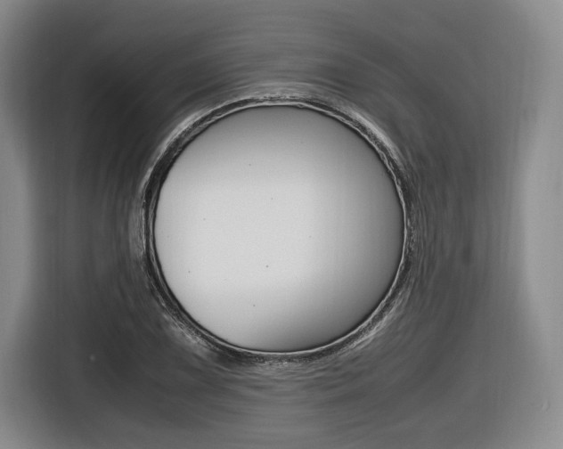 X0000116421075200912081155