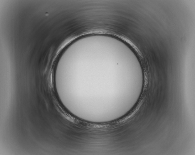 X0000116421078200912081155