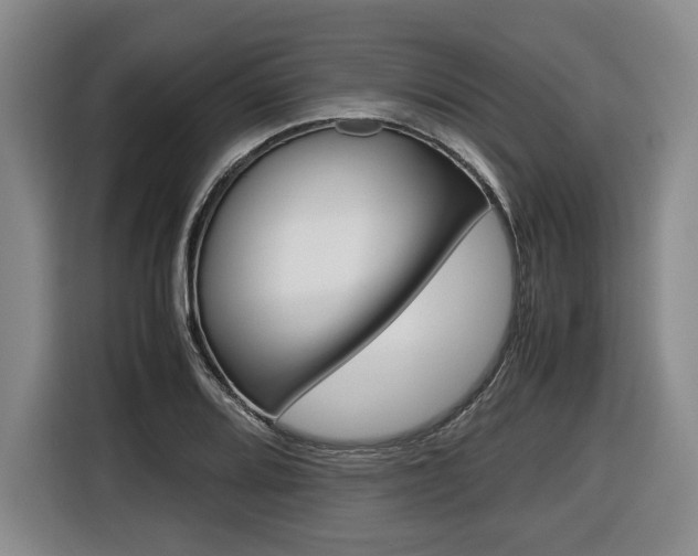 X0000116421080200912081155