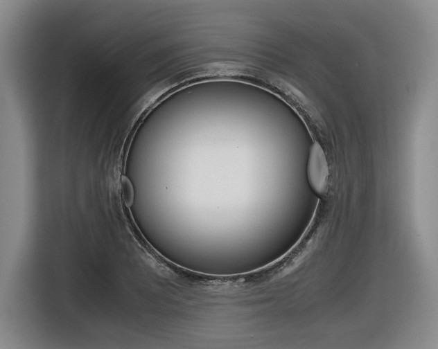 X0000116421081200912081155