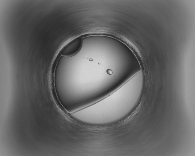 X0000116421085200912081155