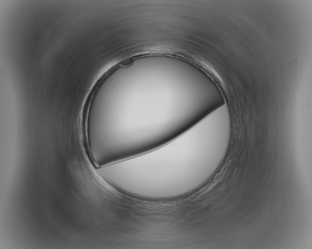 X0000116421087200912081155