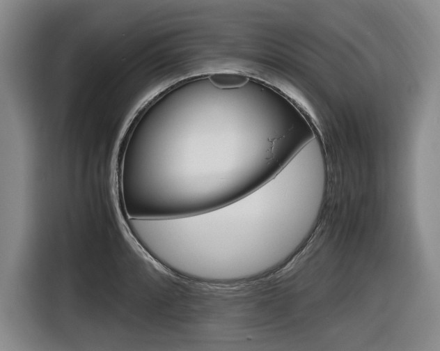 X0000116421088200912081155