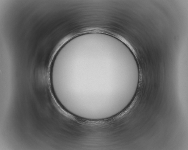 X0000116421090200912081155