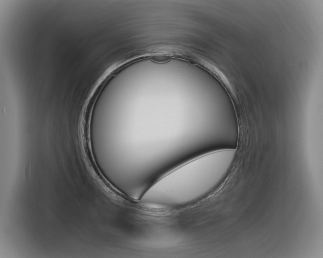 X0000116421091200912081155