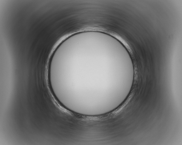 X0000116421094200912081155