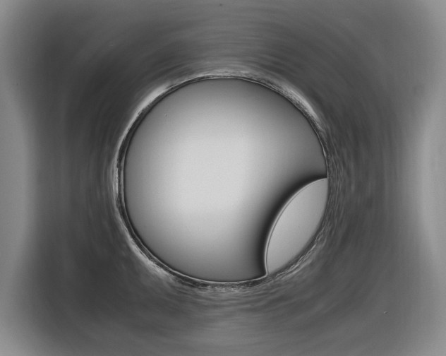 X0000116421095200912081155