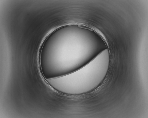 X0000116421096200912081155