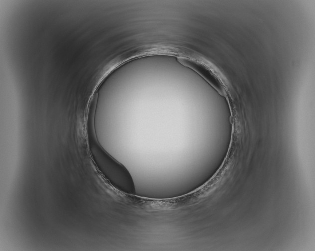 X0000116421097200912081155