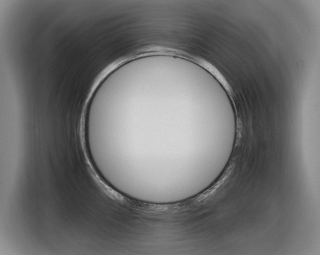 X0000116421098200912081155