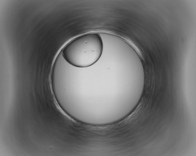 X0000116421100200912081155