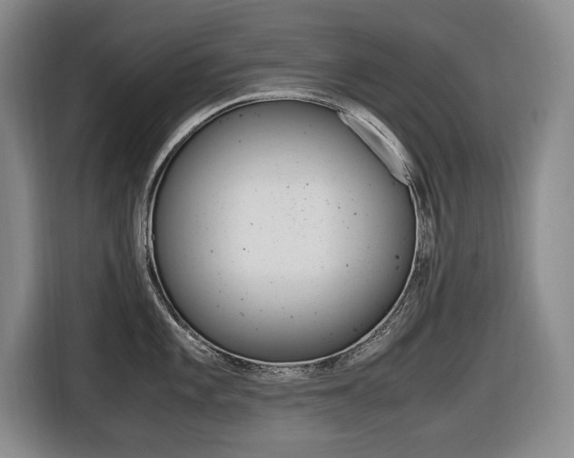 X0000116421101200912081155