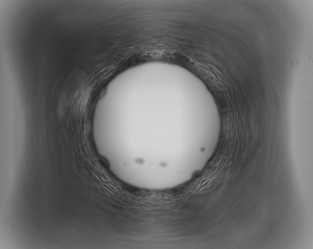 X0000116421105200912081154