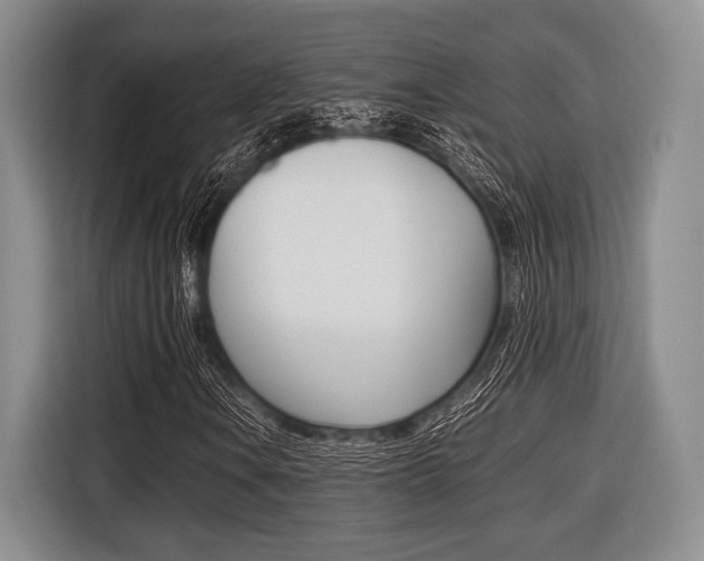 X0000116421106200912081154