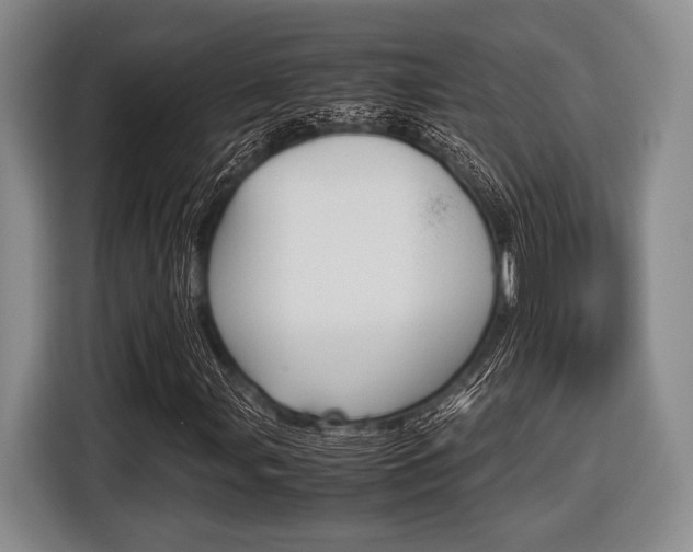 X0000116421107200912081154