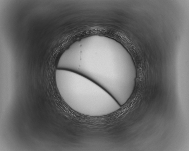 X0000116421109200912081154
