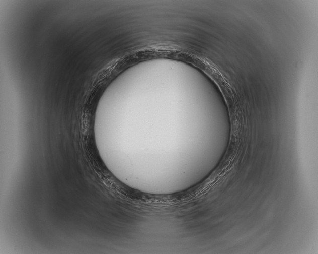 X0000116421110200912081154