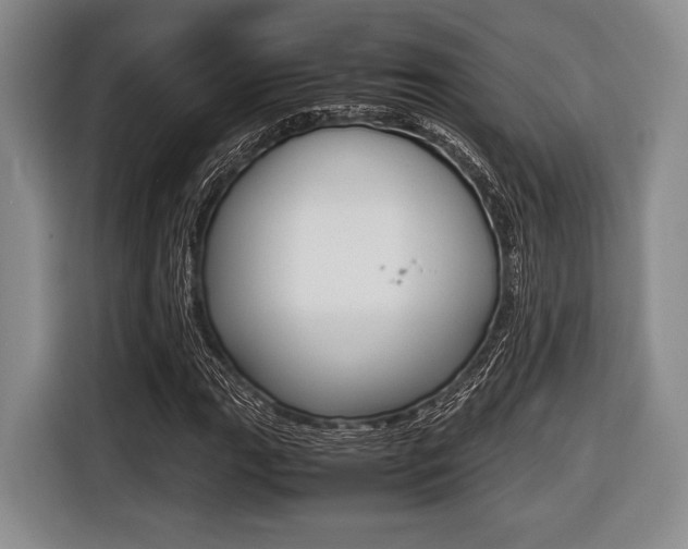 X0000116421111200912081154