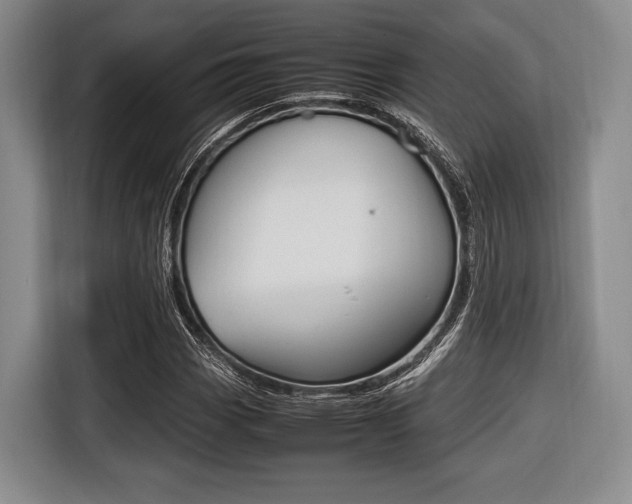 X0000116421113200912081154