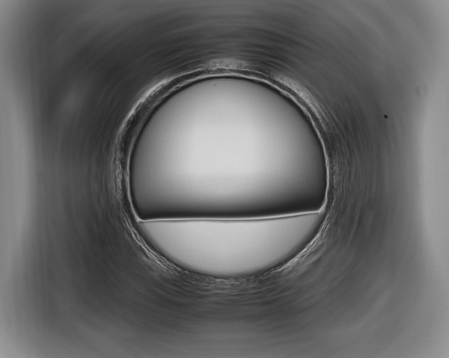 X0000116421115200912081154