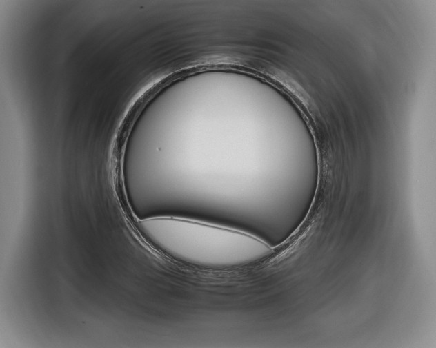 X0000116421119200912081154